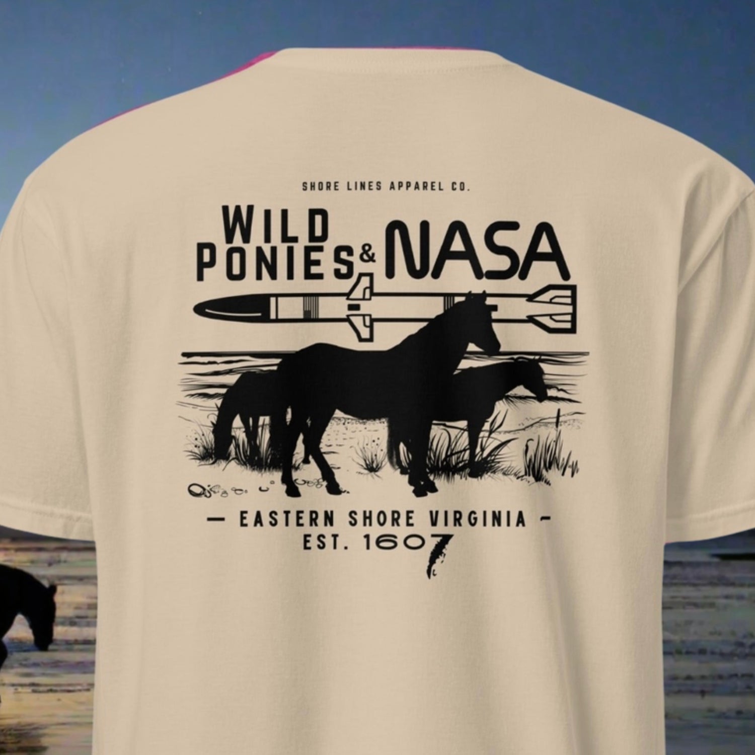 Wild Ponies & NASA