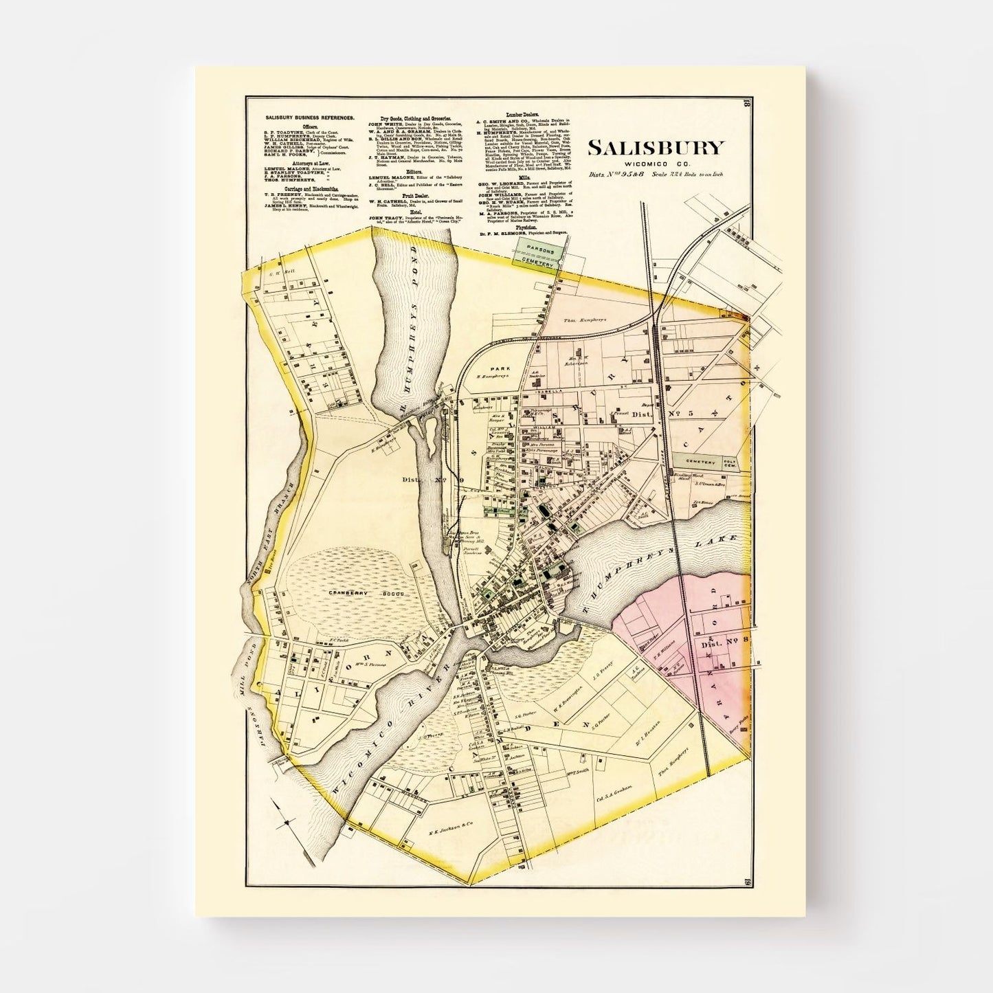 Vintage Map of Wicomico County, Maryland 1877