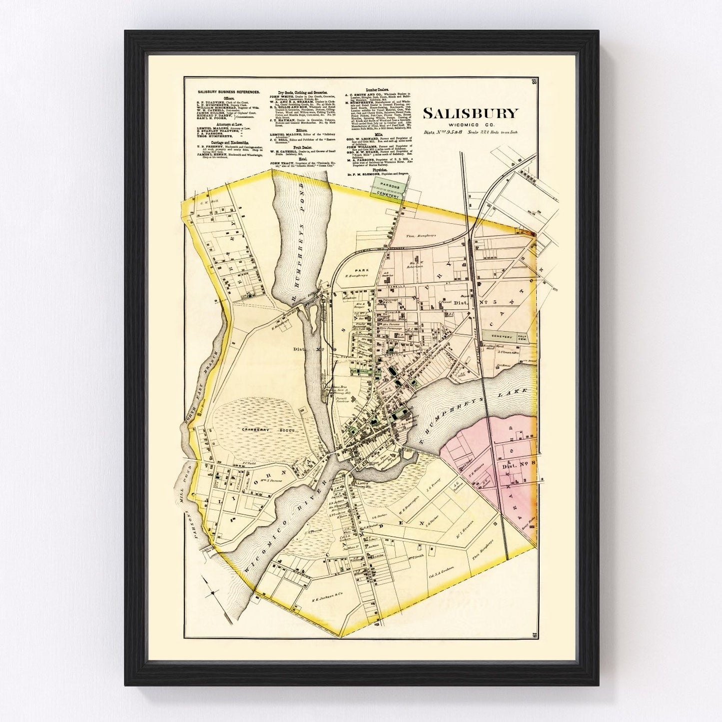 Vintage Map of Wicomico County, Maryland 1877