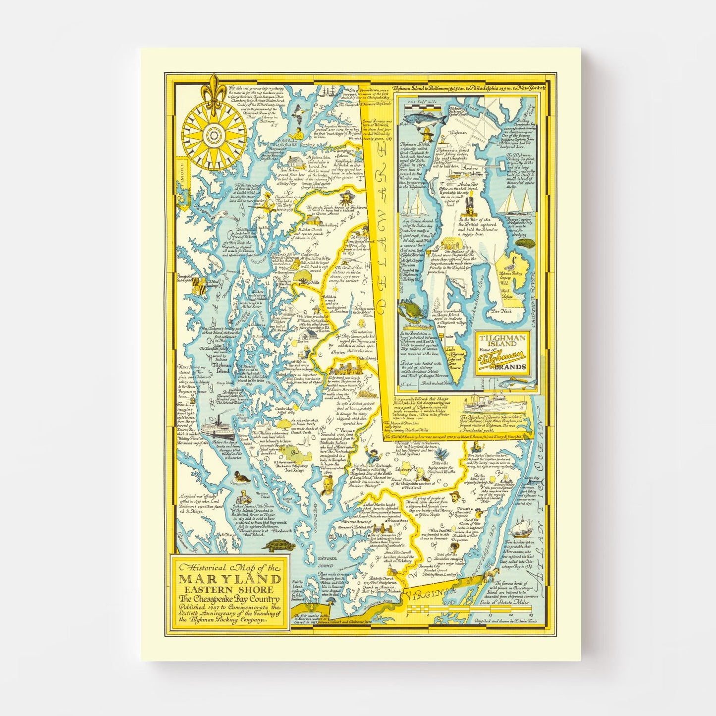 Vintage Map of Eastern Maryland Shore, 1957