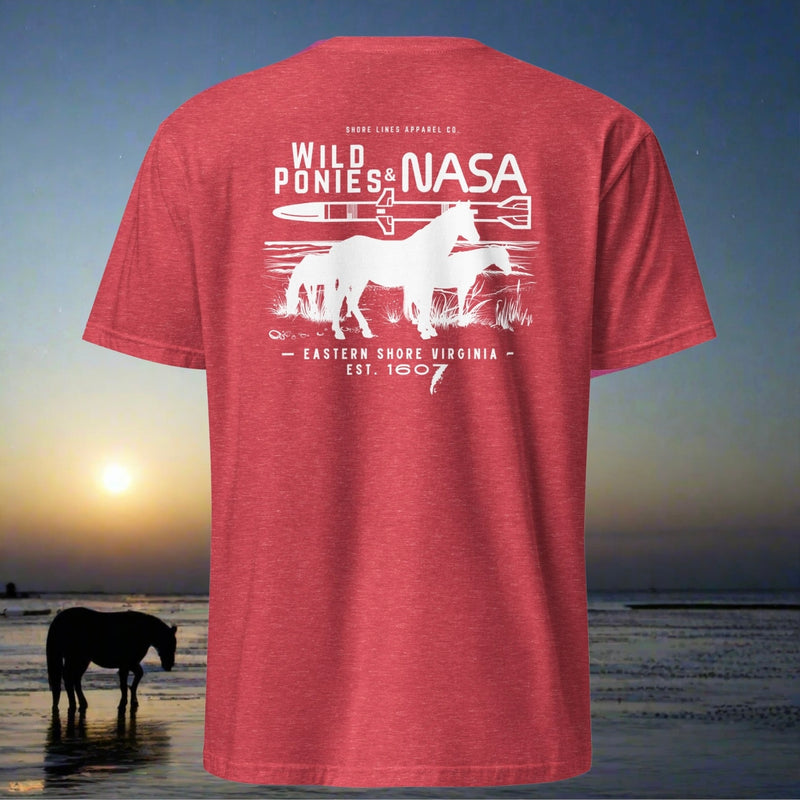 Wild Ponies & NASA
